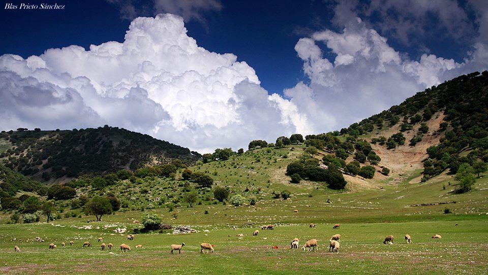 Apartamentos Turisticos Rurales Monte De Las Animas Valdepenas de Jaen Экстерьер фото